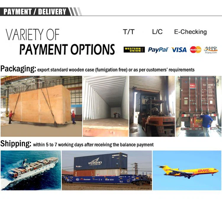 delivery of detergent powder filling machine to Africa